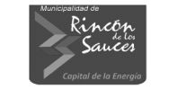 Logo Municipalidad de Rincon de los Sauces